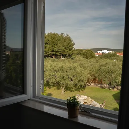 Apartment Darko *
