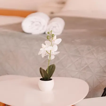 Darko Apartmán