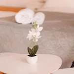 Darko Apartament