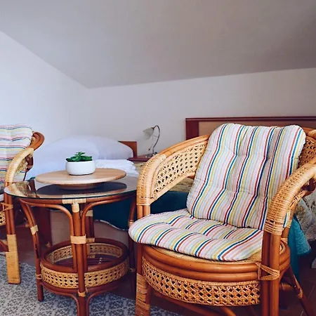Darko - 30 M From Apartament