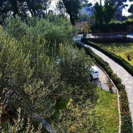 Apartment Darko - 30 M From